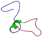 Keratin Associated Protein 3-3 (KRTAP3-3)