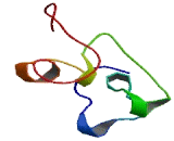 Keratin Associated Protein 6-1 (KRTAP6-1)