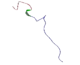 Keratin Associated Protein 6-2 (KRTAP6-2)