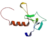 Keratinocyte Associated Protein 2 (KRTCAP2)