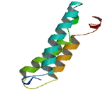 Keratinocyte Associated Protein 3 (KRTCAP3)