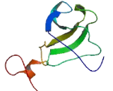 Keratinocyte Associated Transmembrane Protein 2 (KCT2)