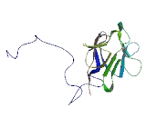 Kidney Anion Exchanger Adaptor Protein (Kanadaptin)