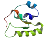 Kidney Associated Antigen 1 (KAAG1)