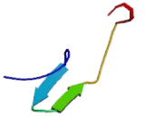 Killer Cell Lectin Like Receptor Subfamily C, Member 4 (KLRC4)