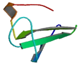 Kinase Suppressor Of Ras 2 (KSR2)