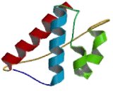 Kinesin Family, Member 12 (KIF12)