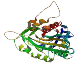 Kinesin Family, Member 13A (KIF13A)