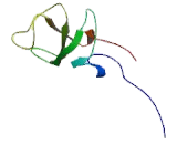 Kinesin Family, Member 13B (KIF13B)