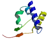 Kinesin Family, Member 15 (KIF15)