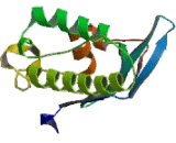 Kinesin Family, Member 16B (KIF16B)