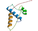 Kinesin Family, Member 18A (KIF18A)