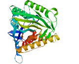 Kinesin Family, Member 18B (KIF18B)