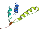 Kinesin Family, Member 19 (KIF19)