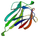 Kinesin Family, Member 1C (KIF1C)