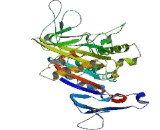 Kinesin Family, Member 20A (KIF20A)