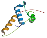 Kinesin Family, Member 21A (KIF21A)