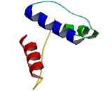 Kinesin Family, Member 26A (KIF26A)