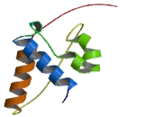 Kinesin Family, Member 27 (KIF27)