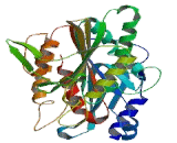 Kinesin Family, Member 2A (KIF2A)