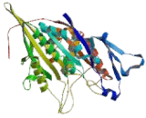 Kinesin Family, Member 3C (KIF3C)