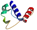 Kinesin Family, Member 4A (KIF4A)