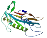 Kinesin Family, Member 8 (KIF8)