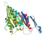 Kinesin Family, Member 9 (KIF9)