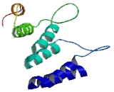 Kinesin Light Chain 3 (KLC3)