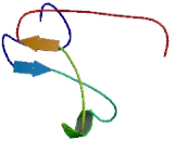 Dynein Assembly Factor 2, Axonemal (DNAAF2)