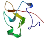 Kringle Containing Transmembrane Protein 2 (KREMEN2)