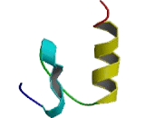 Kruppel Like Factor 3, Basic (KLF3)