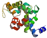 Kv Channel Interacting Protein 1 (KCNIP1)