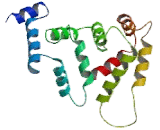 Kv Channel Interacting Protein 4 (KCNIP4)