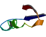 L-Aspartate Dehydrogenase (ASPDH)