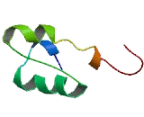 LEM Domain Containing Protein 1 (LEMD1)