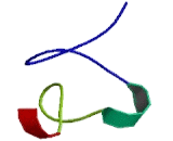 LIM And SH3 Protein 1 (LASP1)