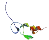 LIM And Senescent Cell Antigen Like Domains Protein 1 (LIMS1)