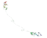 LIM And Senescent Cell Antigen Like Domains Protein 2 (LIMS2)