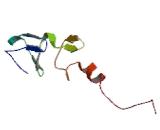 LIM Domain And Actin Binding Protein 1 (LIMA1)