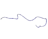 LIM Domain Binding Protein 1 (LDB1)