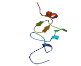 LIM Domain Kinase 1 (LIMK1)