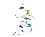 LIM Domain Kinase 2 (LIMK2)