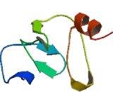 LIM Domains Containing Protein 1 (LIMD1)