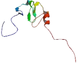 LIM Domains Containing Protein 2 (LIMD2)