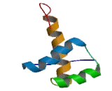 LIM Homeobox Protein 2 (LHX2)