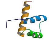 LIM Homeobox Protein 8 (LHX8)