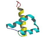 LIM Homeobox Protein 9 (LHX9)