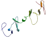 LIM Homeobox Transcription Factor 1 Alpha (LMX1a)