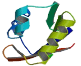 LINE1-Type Transposase Domain Containing Protein 1 (L1TD1)